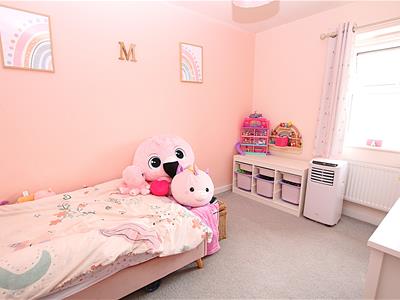 Picture 15